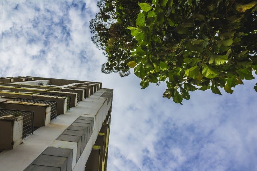 Urbanes Grün: Städte durch grüne Räume verwandeln