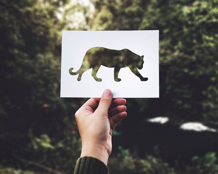 Specie in pericolo: come possiamo aiutare?