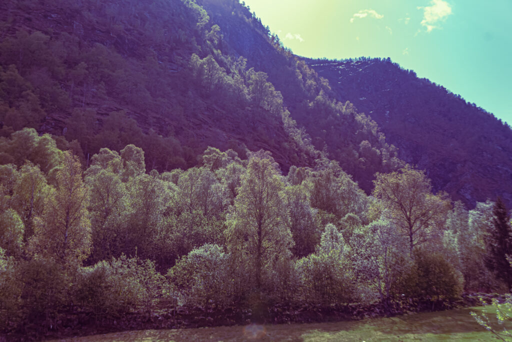 Understanding Natura 2000 and Biodiversity Protection in Europe